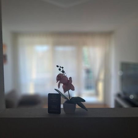 Ferienwohnung Shirin Руст Экстерьер фото