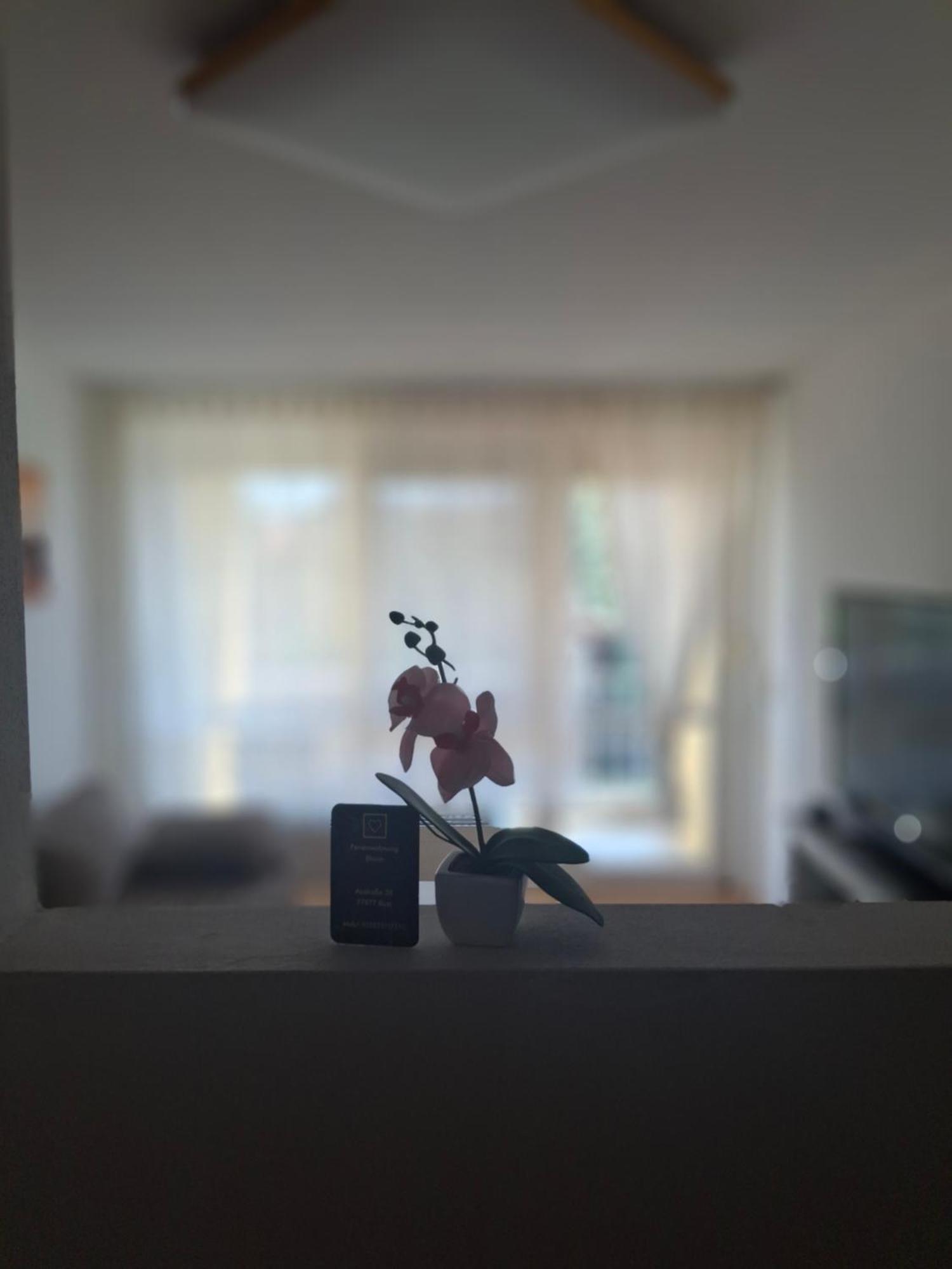 Ferienwohnung Shirin Руст Экстерьер фото